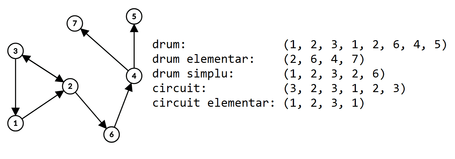 Exemple de drumuri și circuite