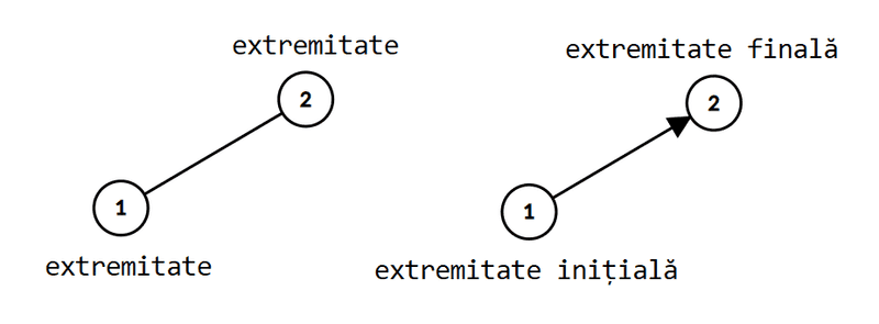 Exemplu de extremități