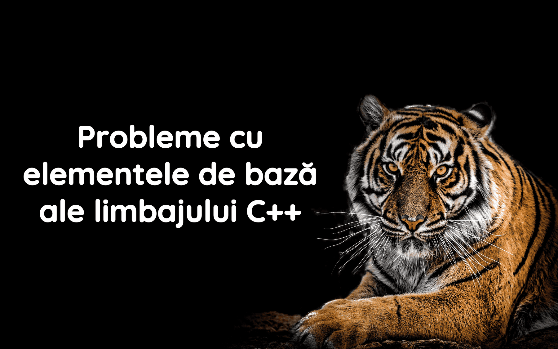 Probleme cu elementele de bază ale limbajului C++